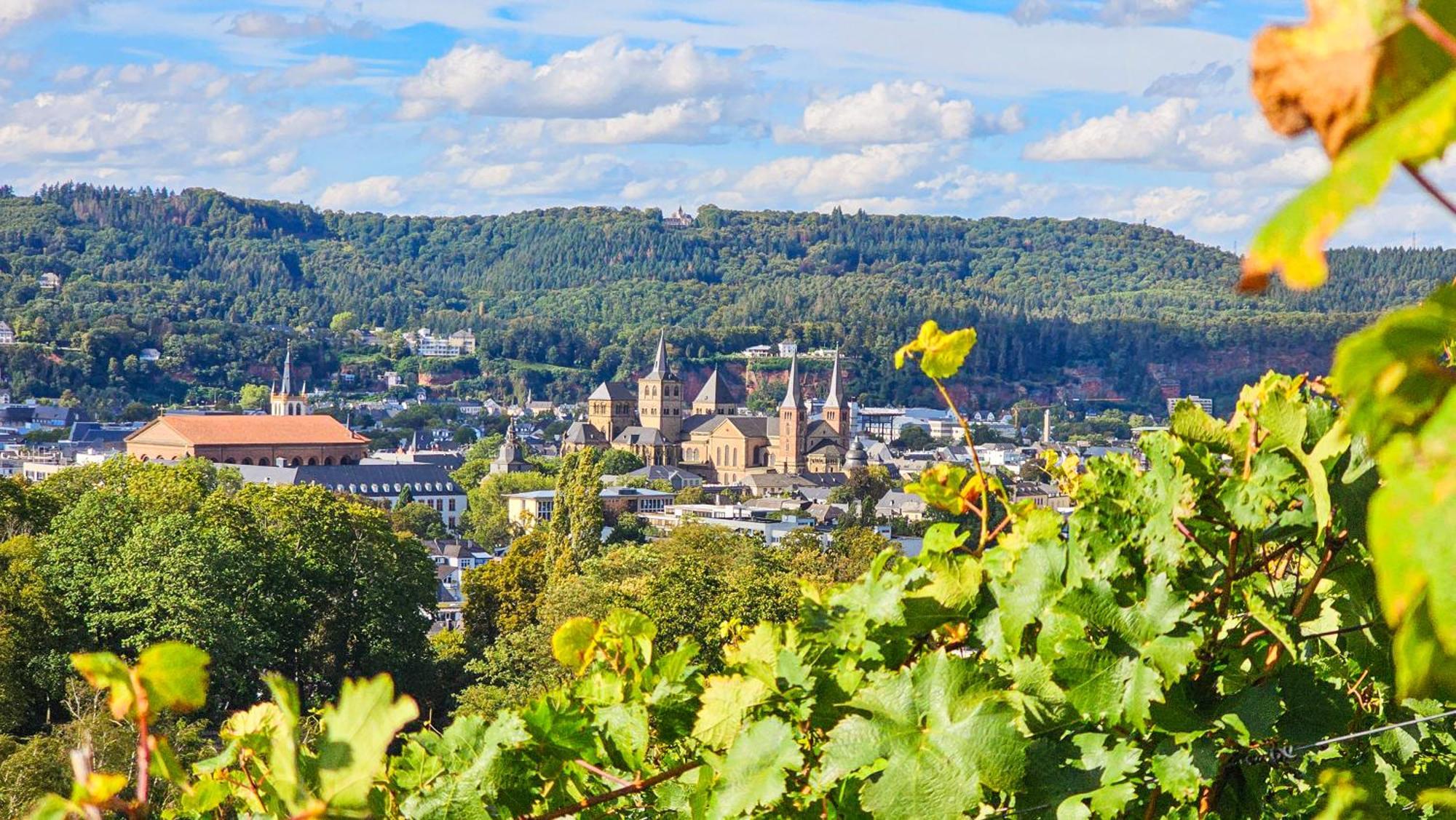 Vintage Hotel Petrisberg トリーア エクステリア 写真