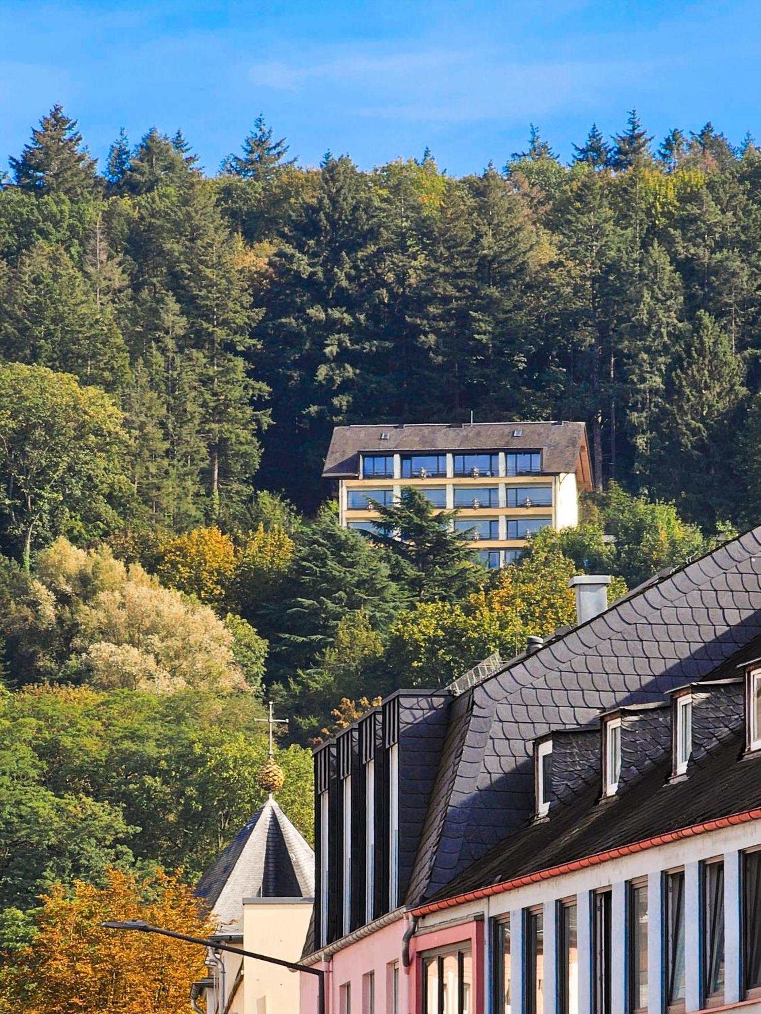 Vintage Hotel Petrisberg トリーア エクステリア 写真
